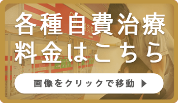 各種自費治療料金